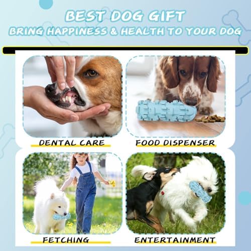 Freezable Treat Dispenser with 8 - Hours Cooling, Feeder for Large Dogs