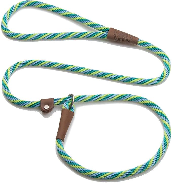 Mendota Pet Slip Leash - Dog Lead and Collar Combo - Made in The USA - Seafoam, 3/8 in x 6 ft - for Small/Medium Breeds