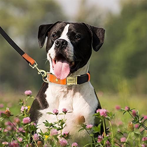 Personalized Dog Collar with Engraved Buckle for Small Medium Large Dogs, Custom Nylon & Genuine Leather Sewing Dog Collar with Name (S(3/5''*10.0''-15.5''),Black)