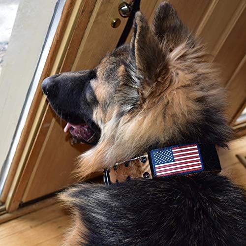 2" Wide Tactical Dog Collar 2-Pin Metal Belt Buckle Medium-Large Dogs K9
