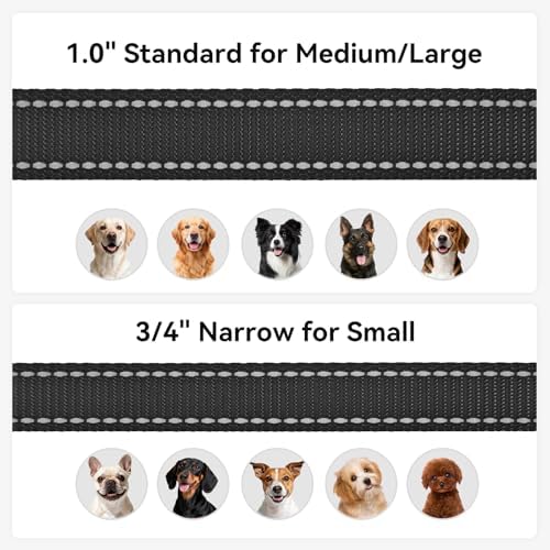 Joytale Reflective Dog Leash for Small Dogs, 5 FT x 3/4", Black