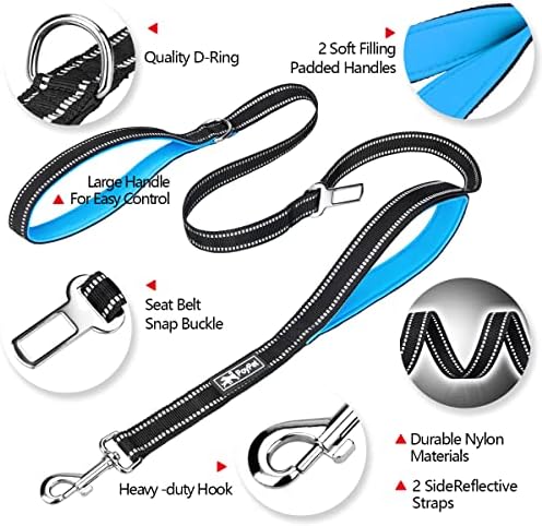PoyPet 5 Feet Dog Leash with 2 Cushioned Handles (Blue)