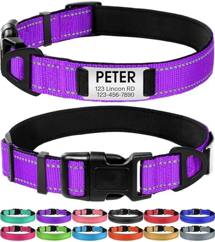 Joytale Personalized Dog Collar with Name Plate Built-in for XSmall Dogs
