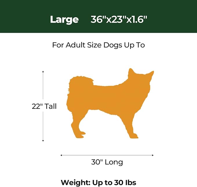 BALANCE Dog Crate Bed, Orthopedic Dog Bed Pad with Waterproof Liner, Washable Crate Foam Pet Mat for Large, Medium, Puppy Dogs Breeds, Mint Leaf, 36“x23”x1.6“