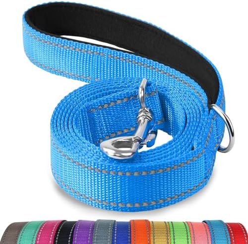Joytale Reflective Dog Leash for Small Dogs, 5 FT x 3/4", Sky Blue