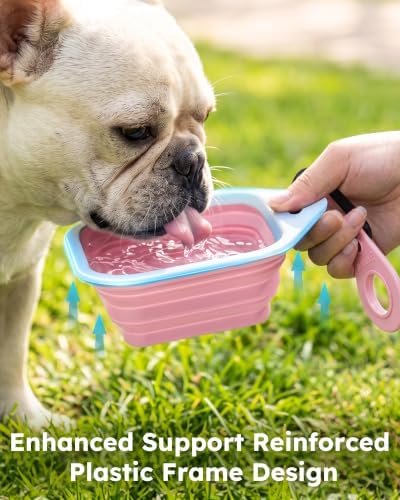 Pecute 2 Pack Foldable Dog Bowls for Travel, Portable Silicone, Pink/Purple