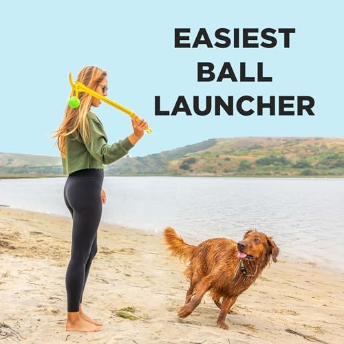 Project Hive Zoomer Stick | Dog Ball Thrower with Set of 2 Looped Dog Balls Included (Green and Blue) | Interactive Dog Toys for Both Land and Water | Balls for Dogs Perfect for Fetch and Tug Play