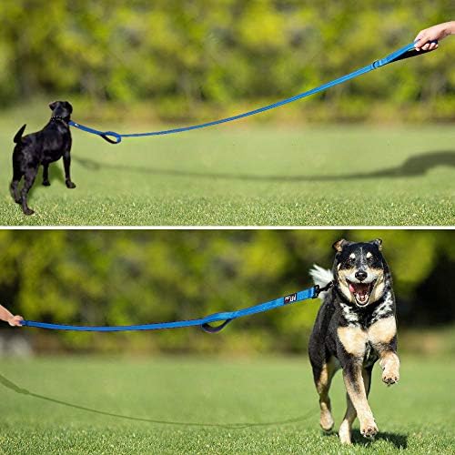 Plutus Pet Double Handle Dog Leash, 5 FT Long, for Medium Large Dogs