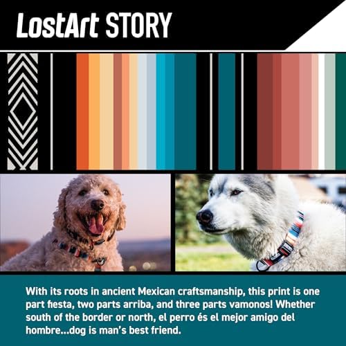 Wolfgang Heavy Duty, Adjustable Dog Collar with Quick Release Nylon Buckle for Walking & Training, LostArt Print, Medium