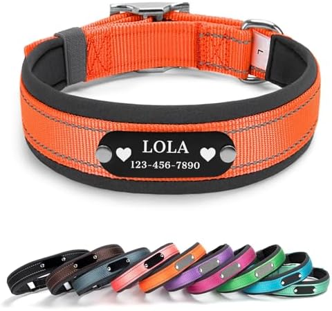 Personalized Reflective Dog Collar with Name, Orange: M