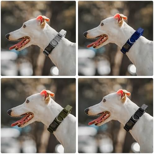 OneTigris Tough Tactical Dog Collar for Small Dogs with Handle Green S