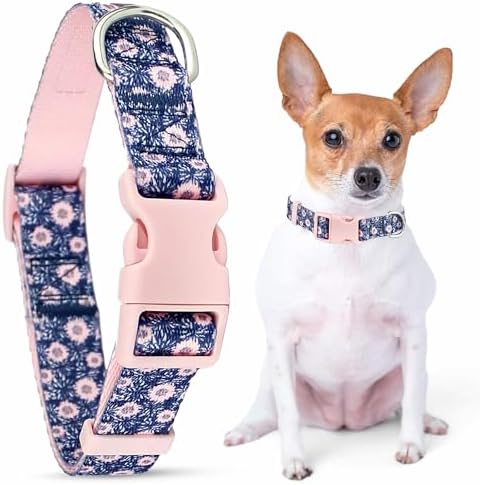 Parisian Pet Floral Dog Collar - Adjustable Midnight Blossoms Girl Pet Collar with Secure Buckle and Metal D-Ring - Comfortable Designer Puppy Collars - Durable Nylon Dog Collars for Small Dogs