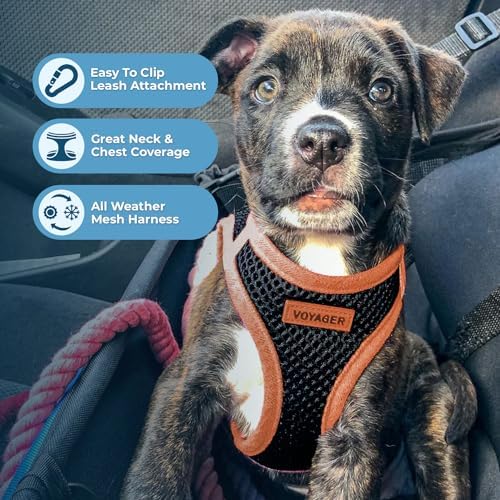 Voyager Step-in Air Dog Vest Harness - Black/Orange Trim, Large