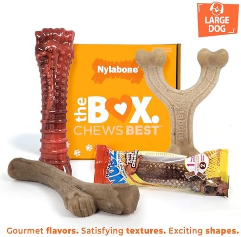 Nylabone Dog Gift Box, Strong Chew Toys & Treat, Large, 4 Count