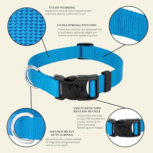 Country Brook Petz - Everyday Nylon Dog Collar for Large, Medium, and Small Dogs and Puppies - for Everyday Use in 30+ Colors (3XS, 3/8 Inch Wide, Ice Blue)