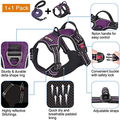 tobeDRI No Pull Dog Harness Adjustable Reflective Oxford Easy Control Medium Large Dog Harness with A Free Heavy Duty 5ft Dog Leash, Purple, XL