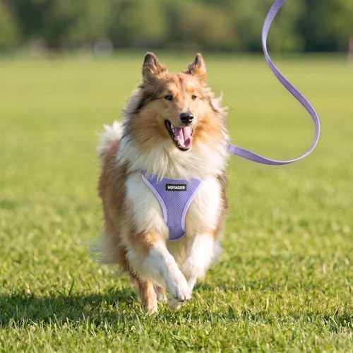 Best Pet Supplies Voyager Step-in Air All Weather Mesh Harness and Reflective Dog 5ft Leash Combo with Neoprene Handle, for Small, Medium and Large Breed Puppies - Lavender, XXXS