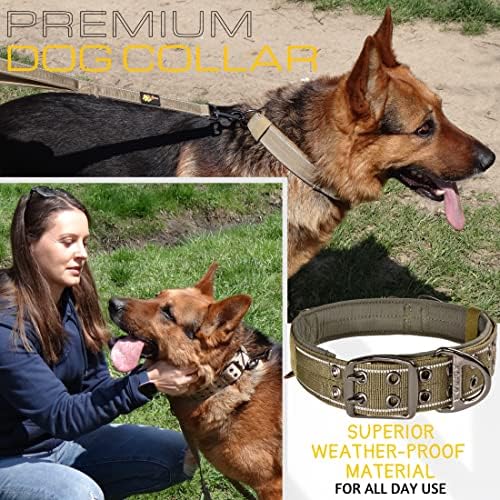 ADITYNA Heavy Duty Green Dog Collar for Medium Dogs with Traffic Handle
