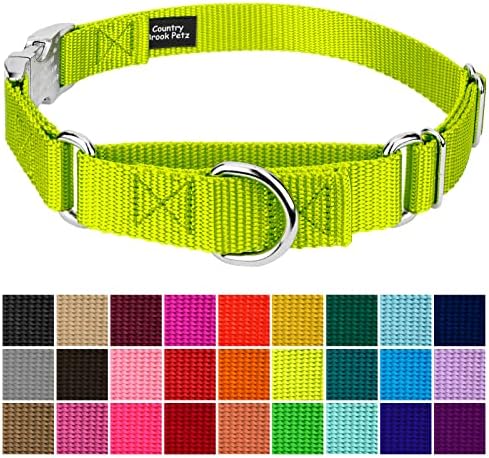 Country Brook Petz - Martingale Dog Collar - Heavy Duty Nylon Adjustable Martingale Dog Collar with Metal Buckle for Small Medium Large Breeds - 30+ Color Options (3/4 Inch, Small, Hot Yellow)