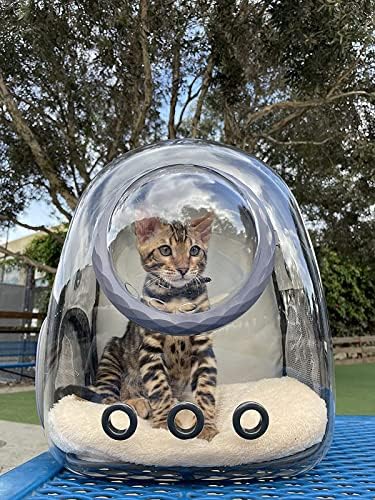 Pet Carrier Backpack for Kitten, Small Puppy and Bunny, Backpack for Kitten, Space Capsule Bubble Cat Backpack Carrier, Airline Approved Waterproof Green Pet Backpack for Small Dog (Pink)