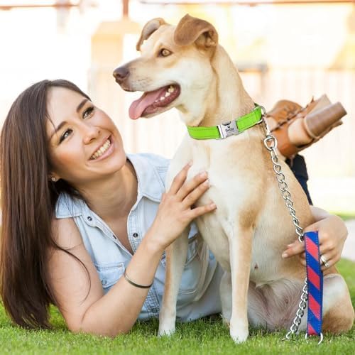 Silent Dog Collar Personalized with Name Phone Number Laser Engraved