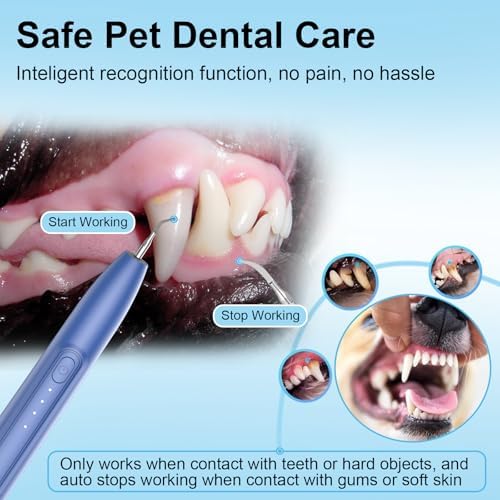 Ultrasonic Dog Plaque Remover Tool, 3 Modes Plaque and Tartar Remover for Dogs, Low Noise Sonic Dog Tartar Remover Dogs Plaque Remover with Toothbrush 2 Cleaning Head for Pet Dental Care