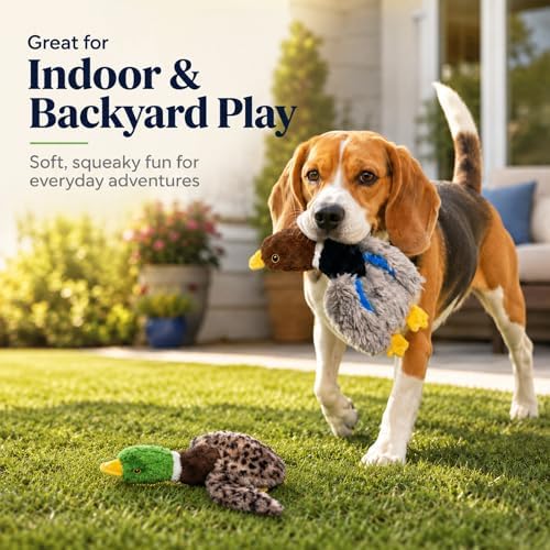 Stuffing-Free Duck Dog Toys, 2 Pack Plush Squeaky Toys with 6 Total Squeakers for Small Medium Dogs, Hollow Body Toys for Interactive Play