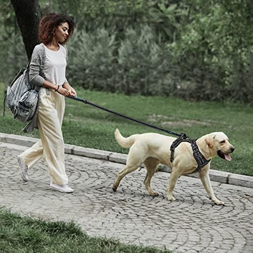 PHOEPET 5 Feet Heavy Duty Dog Leash - Reflective - Soft Padded Handle