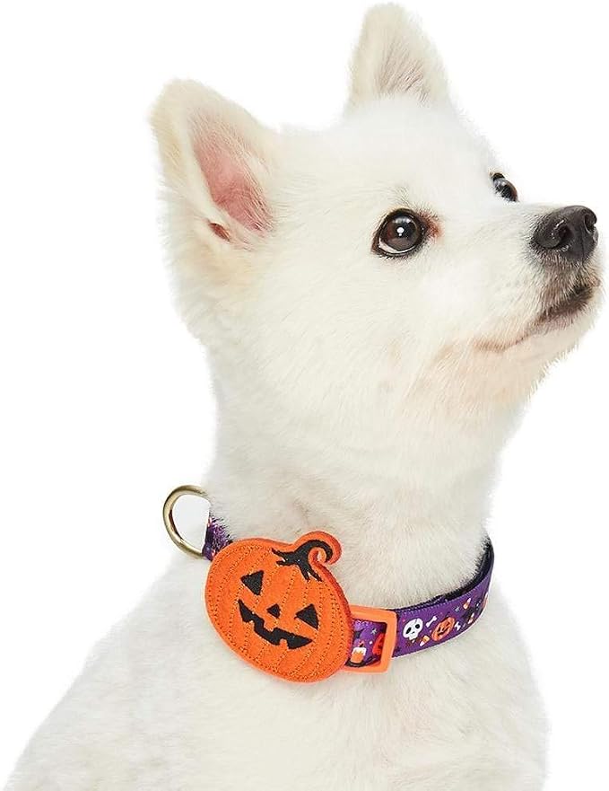 Blueberry Pet Halloween Pumpkin Party Designer Adjustable Dog Collar with Detachable Decoration, Large, Neck 18"-26"