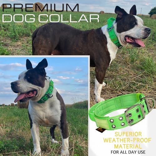 ADITYNA Heavy Duty Dog Collar for Medium Dogs with Traffic Handle