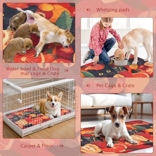 BVAGSS Washable Pee Pads for Dogs, 2 Pack Reusable Leakproof Puppy Wee Wee Pad, Non-Slip Waterproof Pet Training Pads, Super Absorbent Whelping Pads XH081 (Cat, 36X41 Inch (Pack of 2))