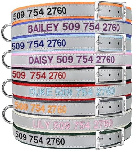 GoTags Embroidered Reflective Dog Collars with Metal Buckle, Personalized Dog Collar Custom Embroidered with Pet Name and Phone Number, Sizes for Puppy and Dogs Extra Small, to Medium and Large