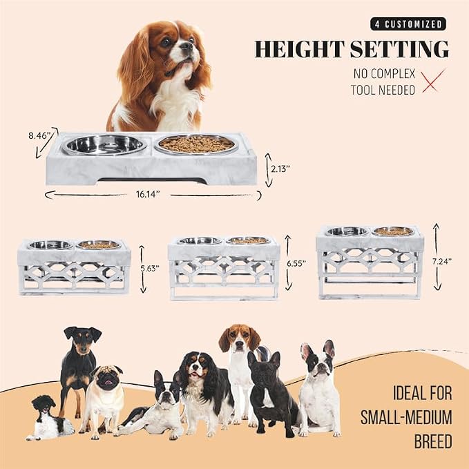 AVERYDAY Elevated Dog Bowls, 4 Height Adjustable Stand for Small and Medium Dogs, Raised Dog Feeder Holder with 2 Stainless Steel Food and Water Bowls, Anti-Slip Base Tall Feeding Station