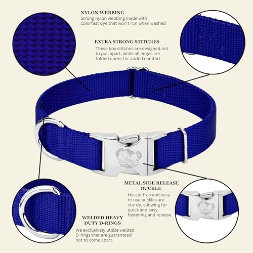 Country Brook Petz - Premium Nylon Dog Collar with Metal Buckle for Small Medium Large Breeds - 30+ Colors (Medium, 3/4 Inch, Bright Royal Blue)