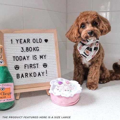 Haute Diggity Dog Birthday Girl Cake Plush Dog Toy, Funny Stuffed Dog Toy