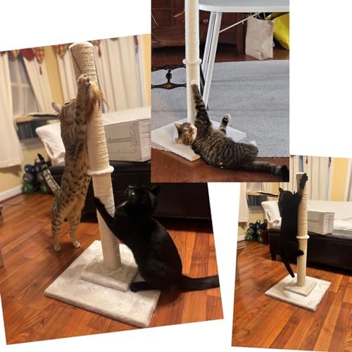 Hutpet 34" Tall Cat Scratching Post Double Base and Reinforcement Design,Sisal Scratch Posts Trees with Feather Toys for Indoor Cats (Beige)