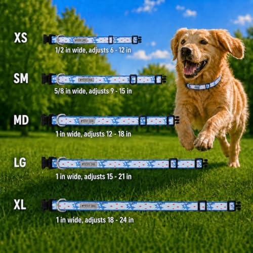 THE WORTHY DOG Summer Print, Adjustable Dog Collar, Small Dogs, Sharkuterie