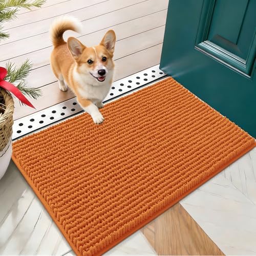 OLANLY Dog Door Mat for Muddy Paws 24x16, Extra Absorbent Chenille Mud Mat