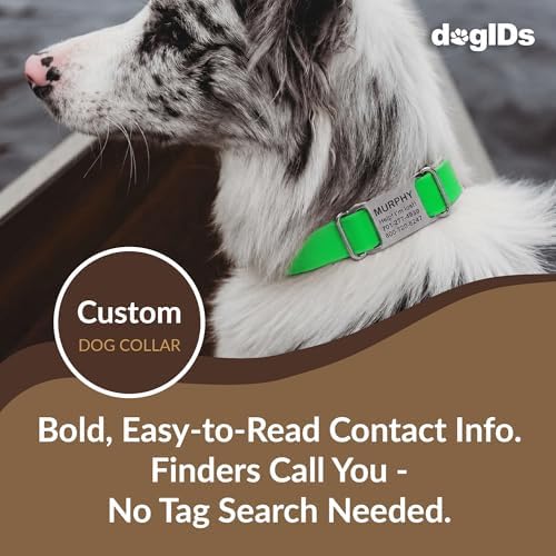 dogIDs Personalized Quick Release Waterprooft ScruffTag Dog Collar - Built-in Custom Laser Engraved Nameplate, Odor Resistant - Green, 1 in x 13-18 in (Fits Neck Sizes: 13-18 in)