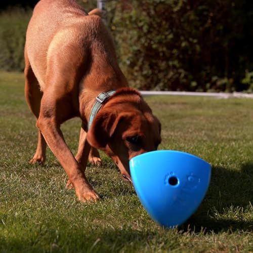 Roolo - Dog Treat Dispenser Toy (Blue), Teething Toys for All Breeds