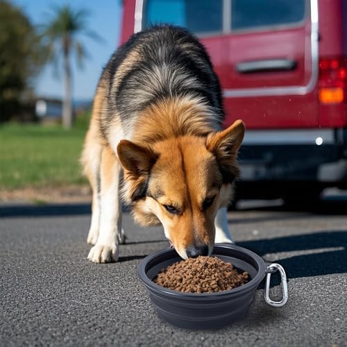 Dog Bowl Pet Collapsible Bowls, 2 Pack Collapsible Dog Water Bowls for Cats Dogs, Portable Pet Feeding Watering Dish for Walking Parking Traveling with 2 Carabiners (Black+Black, Medium)