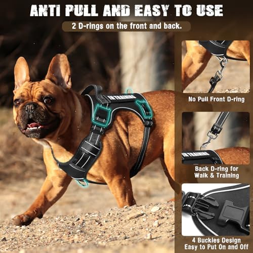 Tactical Dog Harness and Leash Set Small Sized Dog+10 Dog Patches