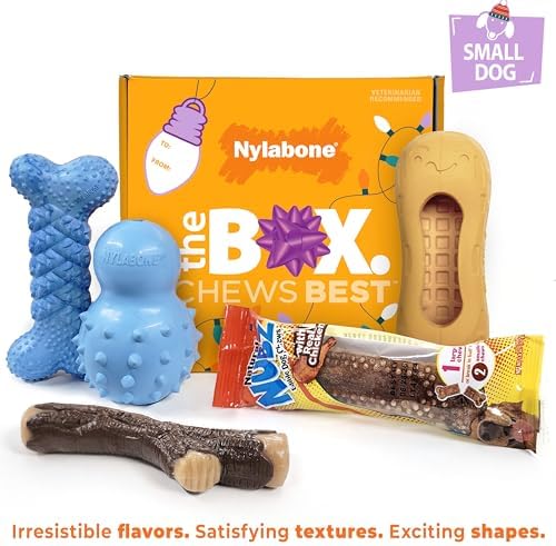 Nylabone Dog Gift Box, Includes 4 Rubber Strong Chew Toys and 1 Natural Treat, Gifts for Dogs, Small - Up to 25 lbs, 5 Pack