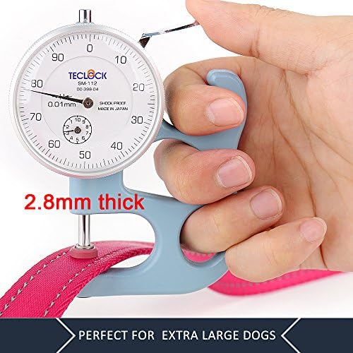 Plutus Pet Double Handle Dog Leash, 4 FT Long, for Medium Large Dogs