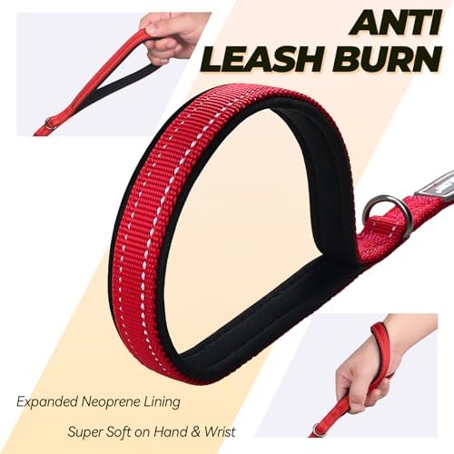 VIVAGLORY Double Handle Dog Leash Twingrip, 6ft x 1/2in, Red