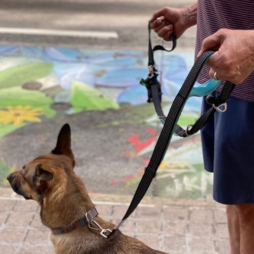Heavy Duty Dog Leash for Large Dogs – 6FT Reflective Bungee with Padded Handles, Strong Carabiner Clip, No Pull Control for Medium & Large Breeds, Includes Poop Bag Holder & Treat Pouch (Purple-Blue)