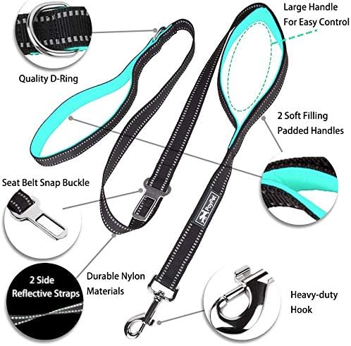 PoyPet 5 Feet Dog Leash with 2 Cushioned Handles (Mint Blue)