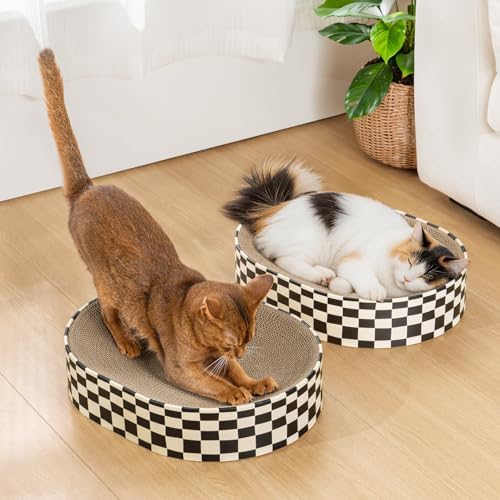 Conlun Oval Cat Scratcher Bed Bowl Lounge for Kittens | Medium | 2 Pack