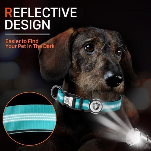 Waterproof AirTag Dog Collar with QR Code Dog Tag, Blue S