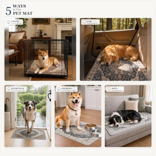 Washable Pee Pads for Dogs,Super Absorbent Reusable Puppy Potty Training Pads,Waterproof,Leak-Proof & Non-Slip Potty Pads for Floor,Whelping,Crates,Bed(Charcoal, 48"x48")